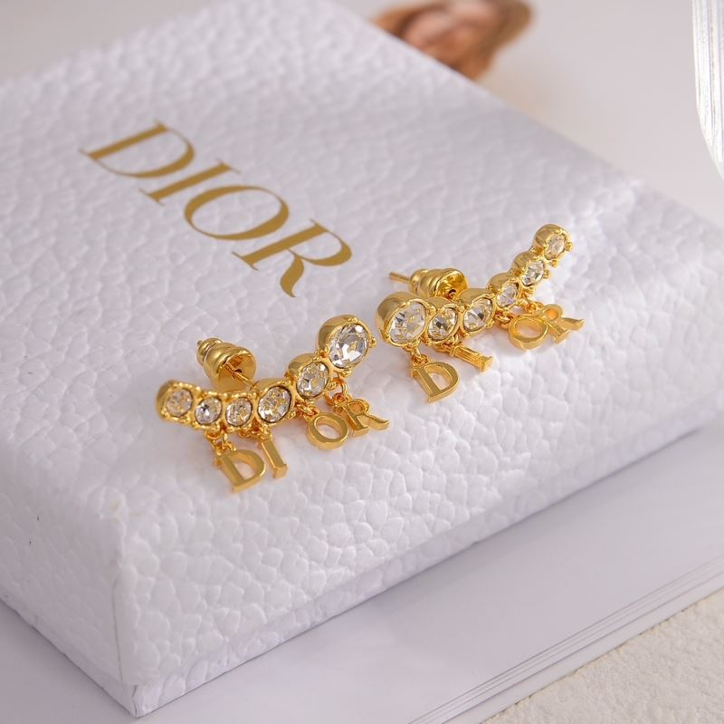 Christian Dior Earrings